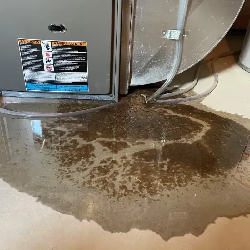 Appliance Leak Cleanup in Polk County, GA